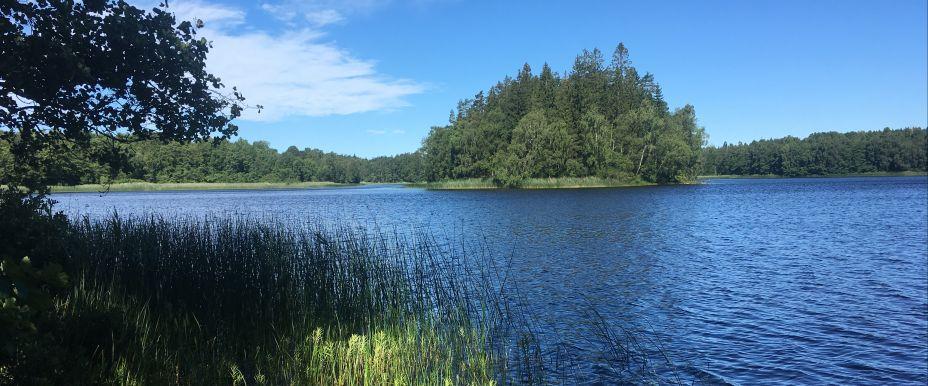 Yasjön, Äntasjön och Stora Asjön - Image 2