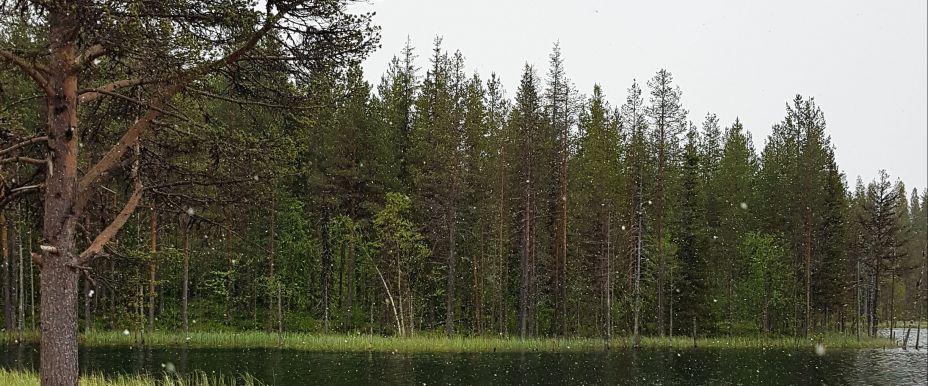 Torneälv, Tärendöälv, Piilojärvi m fl vatten - Image 2