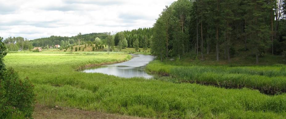 Ätran (Kölaby Hästhagen - Knektakvarn Blidsberg) - Image 1