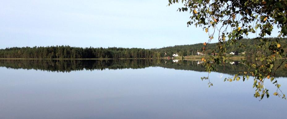 Götarpssjön - Image 1