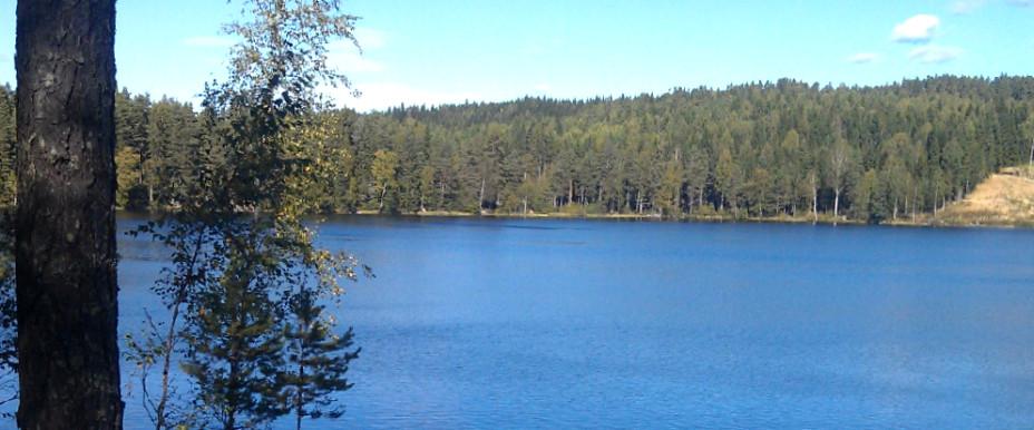 Bretjärnet