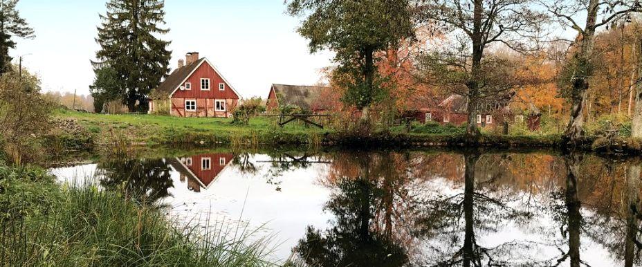 Brännvinsdammarna, Vinneå - Image 5