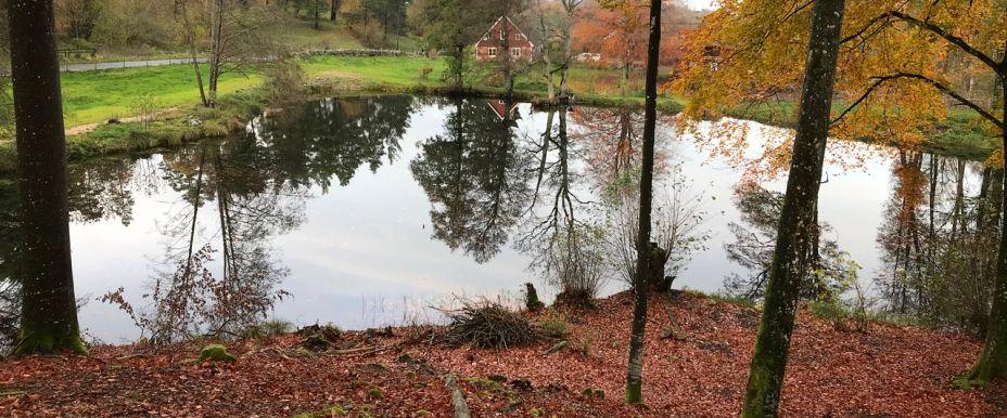 Brännvinsdammarna, Vinneå - Image 4