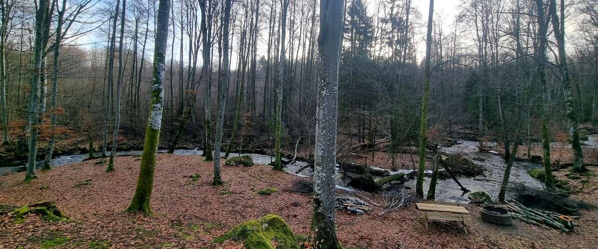 Brännvinsdammarna, Vinneå - Image 14