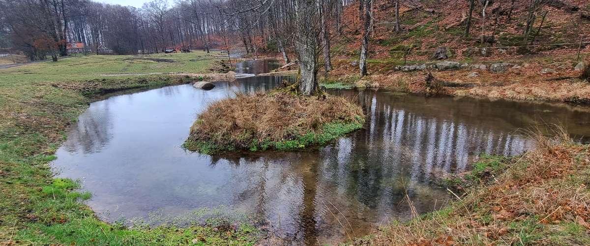 Brännvinsdammarna, Vinneå - Image 12