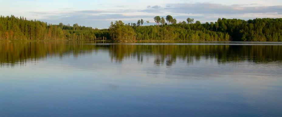 Gårdsjön, Narven och Långtjärn - Image 2