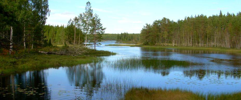 Photo of Gårdsjön, Narven och Långtjärn