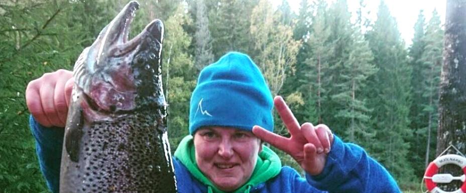 Gårdsjön, Narven och Långtjärn - Image 4