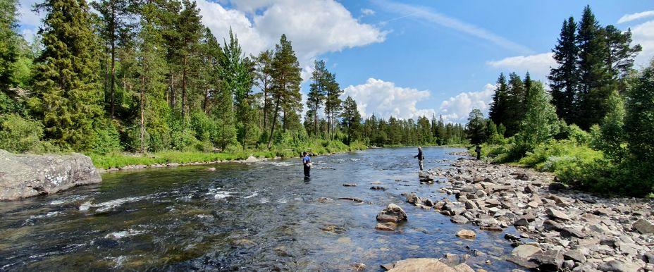 Funäsfjällen (Fiskepasset) - Image 8