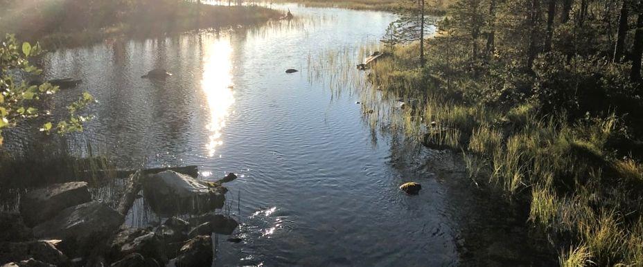 Funäsfjällen (Fiskepasset) - Image 4