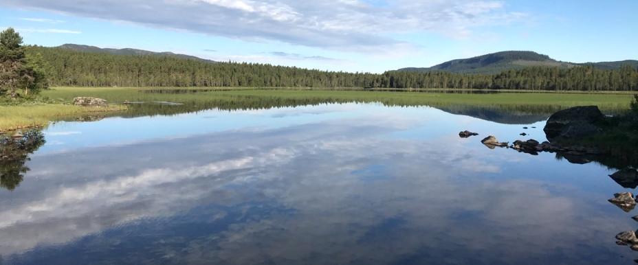 Funäsfjällen (Fiskepasset) - Image 5