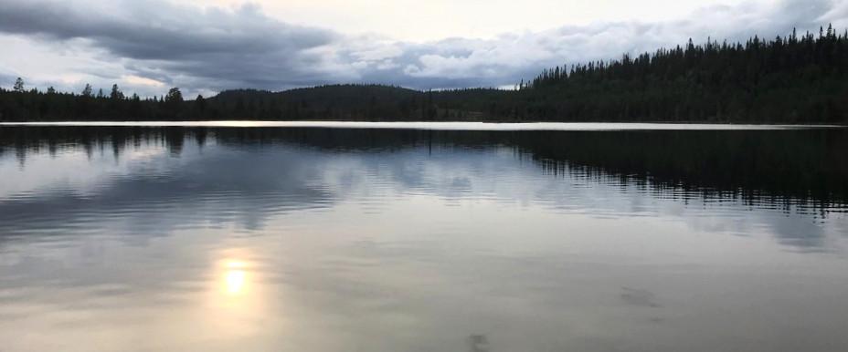 Funäsfjällen (Fiskepasset) - Image 7