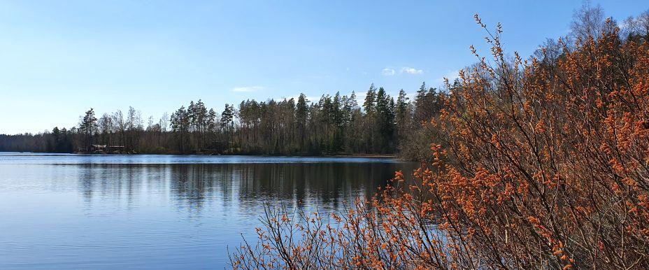 Strönasjön, Ubbasjön, Smedsjöarna m fl vatten - Image 4