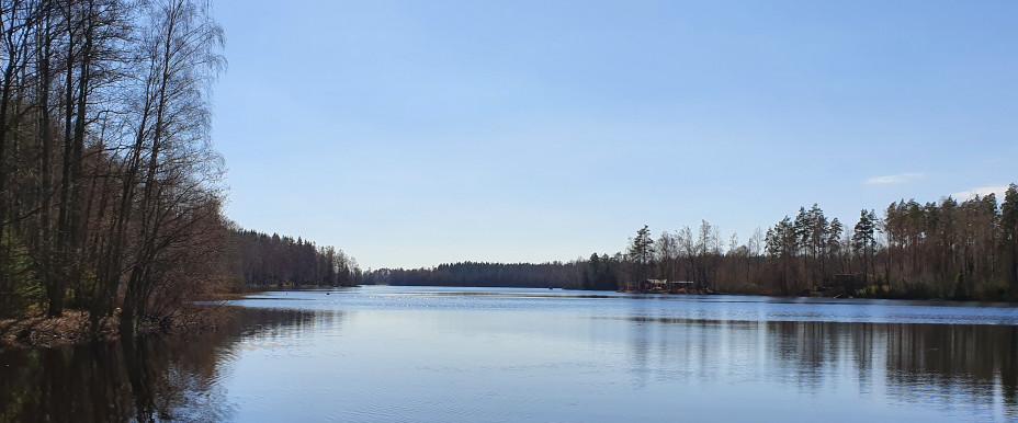 Strönasjön