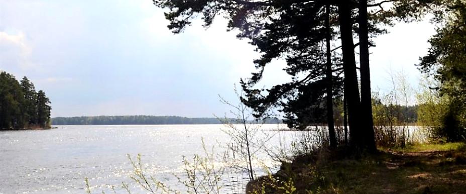 Photo of Dalälven (Söderfors-Hedesunda), Hjällsjön