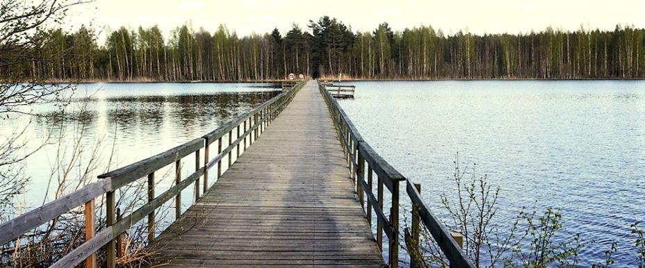 Dalälven (Söderfors-Hedesunda), Hjällsjön - Image 2