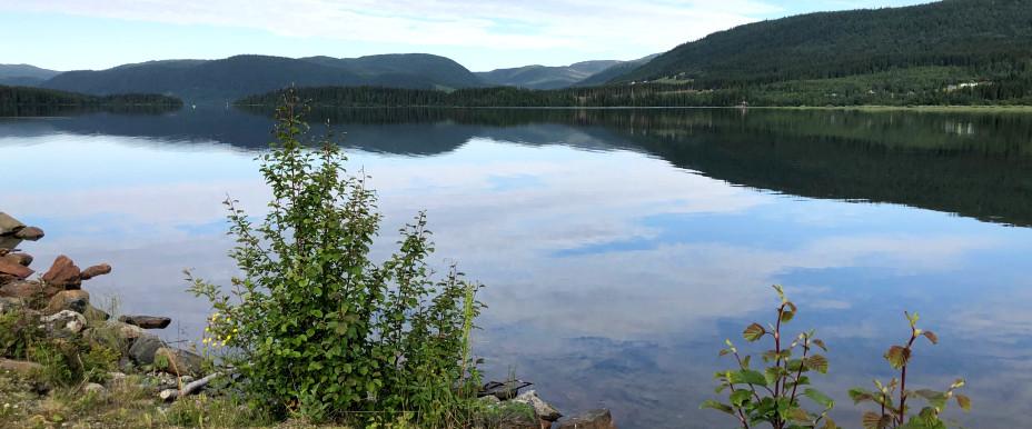 Jormsjön m fl vatten - Image 52