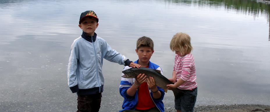 Jormsjön m fl vatten - Image 11