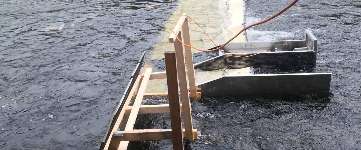 Fiskspärr i Blåsjöälvens utlopp