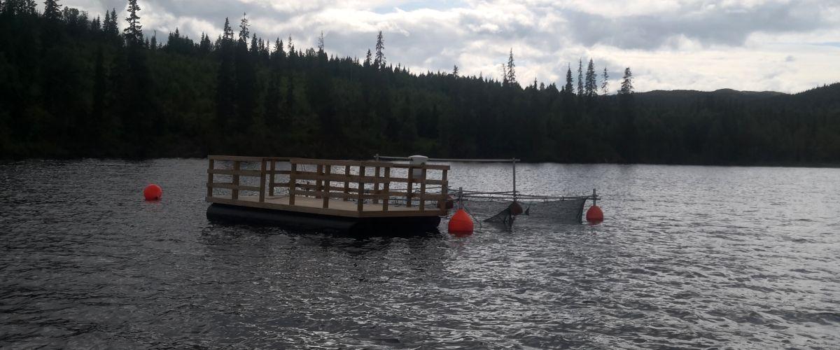 Storingeborgsvika djup 9 m