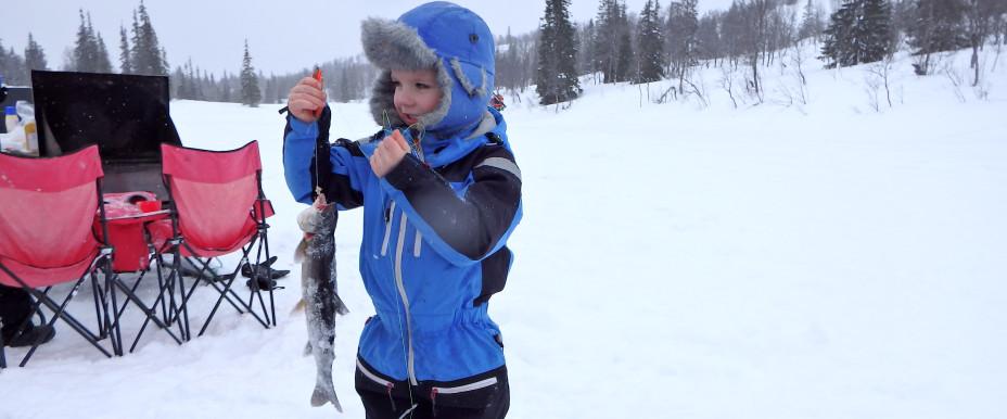 Fiske på Holmtjärna