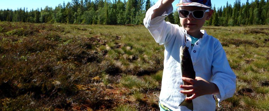 Hästplutten för bla ungan