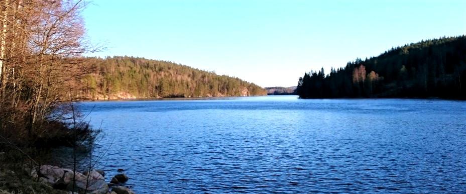 Skinäset 1