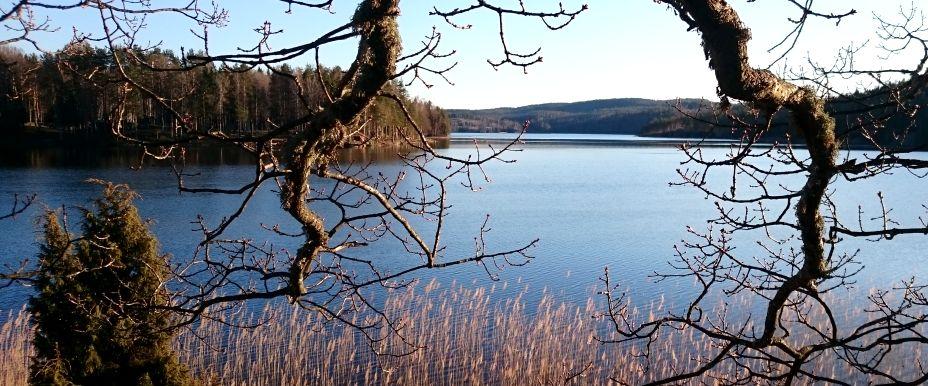 Svarttjärnsviken 1