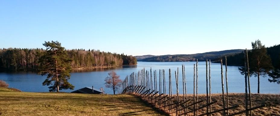 Svarttjärnsviken 3