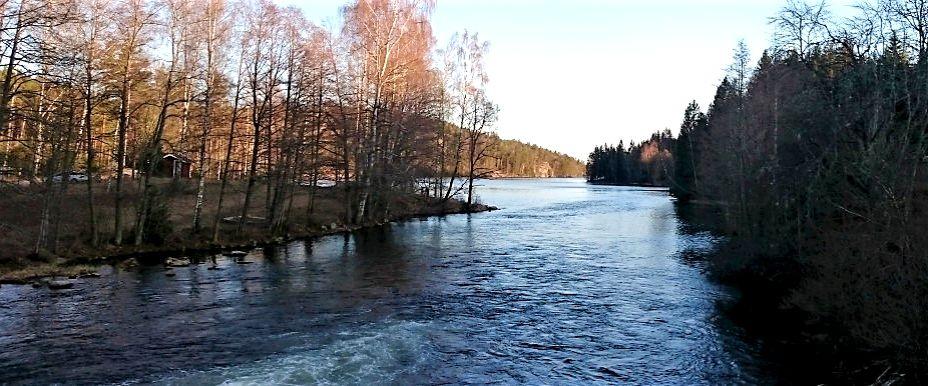 Skifors