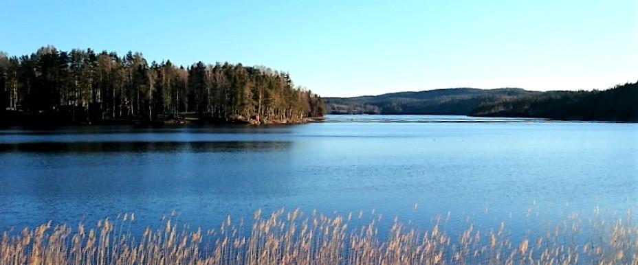 Svarttjärnsviken 2