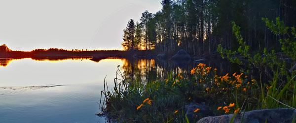 Nedre Bureälven - Image 3