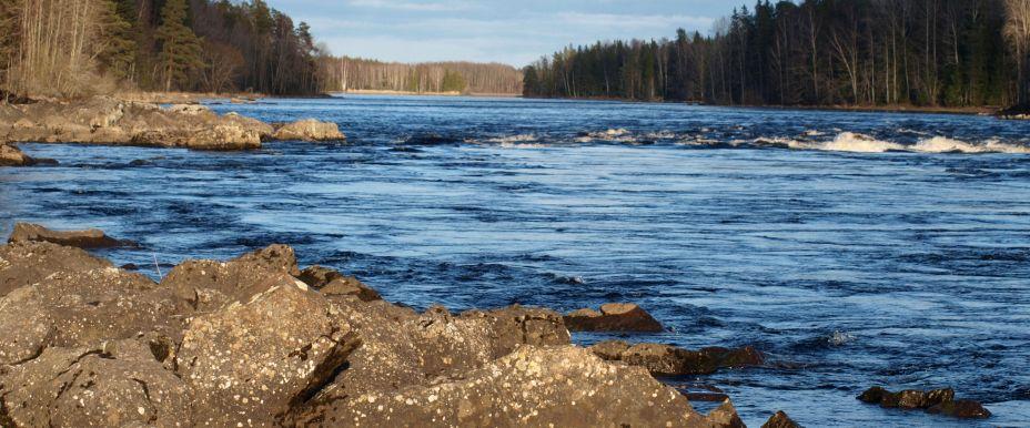 Tyttboforsen, Balforsen (Dalälven) - Image 6