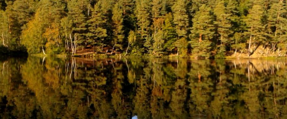 Toftasjön - Image 2