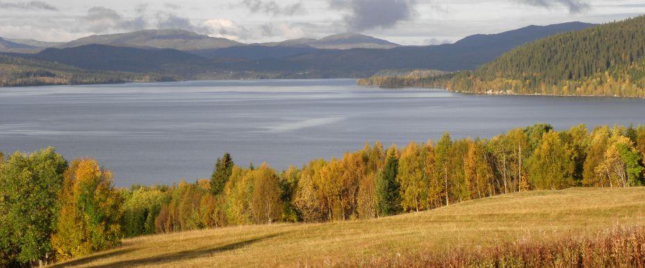 Höst i Mon