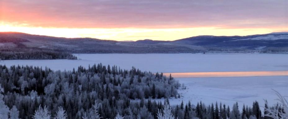 Bistert i vinterkylan, -27.