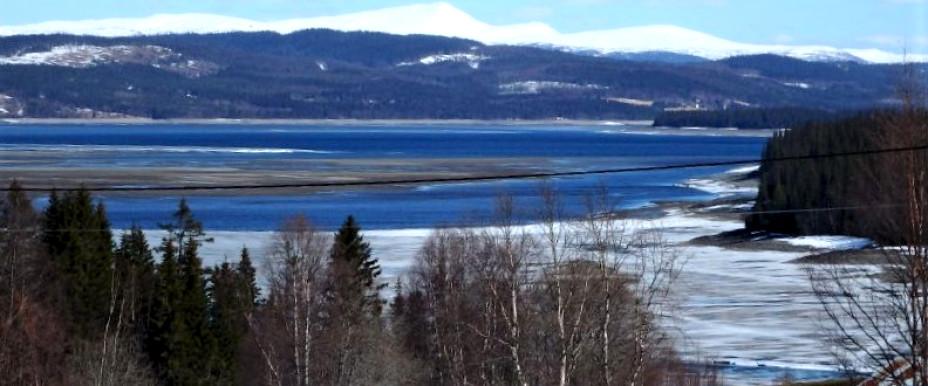 Skogsvika.