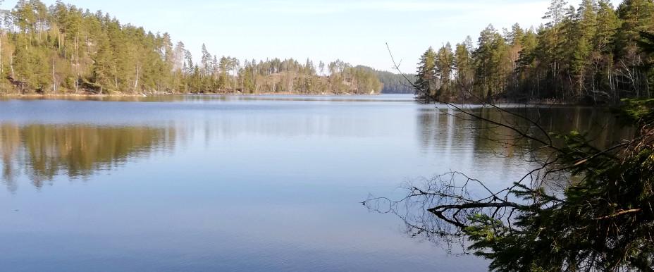 Gravdalssjön m fl sjöar - Image 1