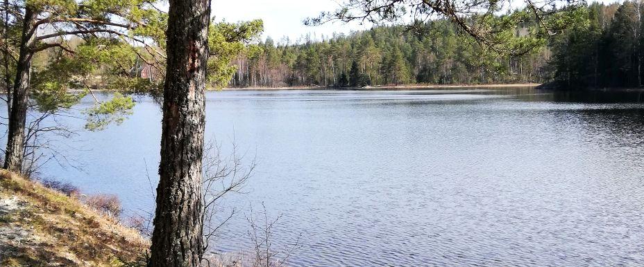 Gravdalssjön m fl sjöar - Image 2