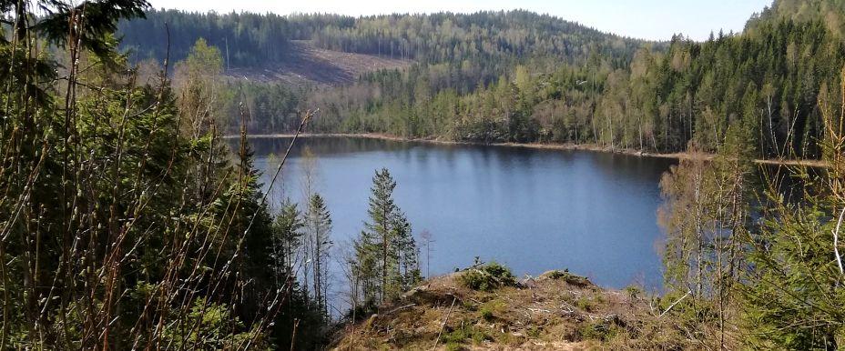 Gravdalssjön m fl sjöar - Image 3