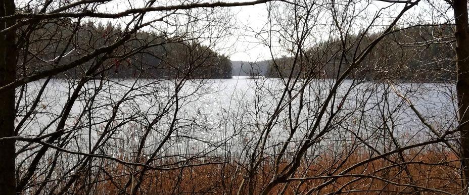Gravdalssjön m fl sjöar - Image 4