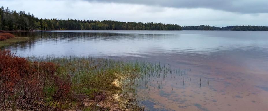 Marsjöarna - Image 6