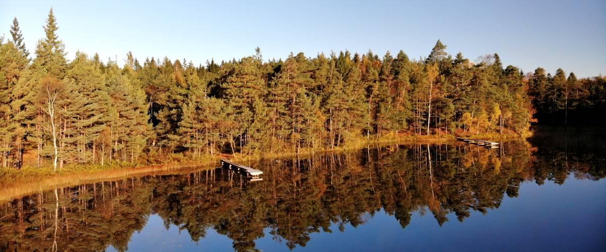 Abborresjön, Böljesjön, Ottersjön, Stora Kroksjön - Image 8