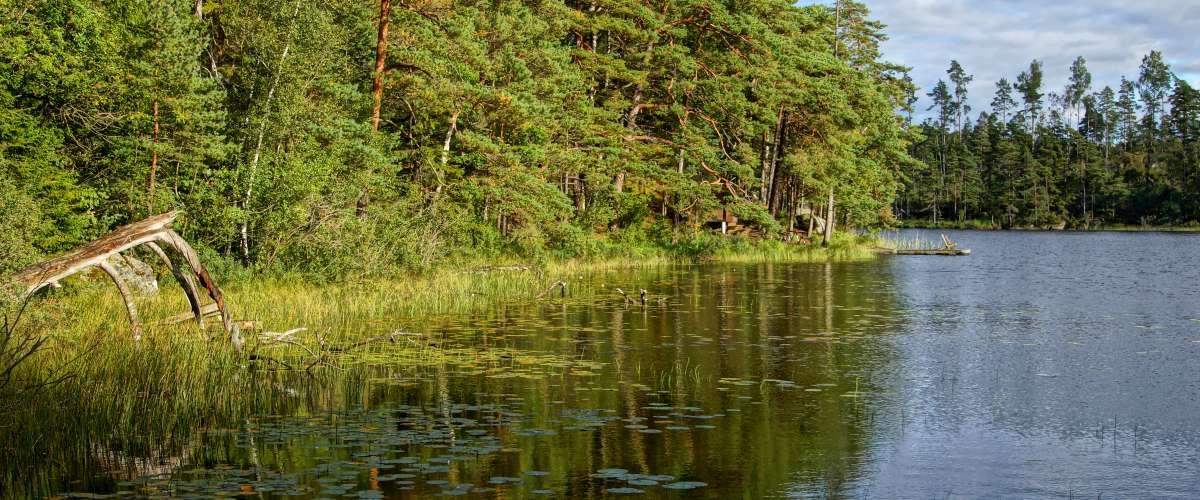 Ottersjön