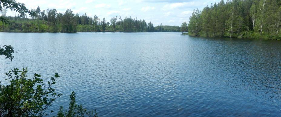 Vrången