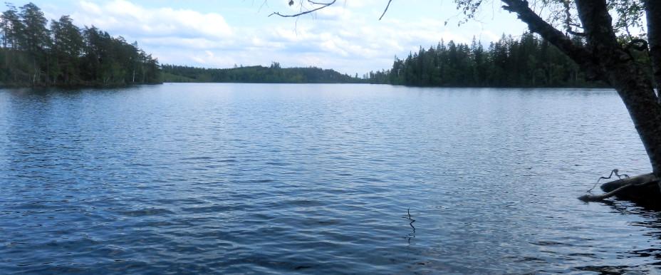 Vrången