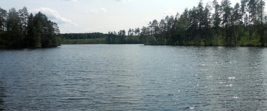 Vrången