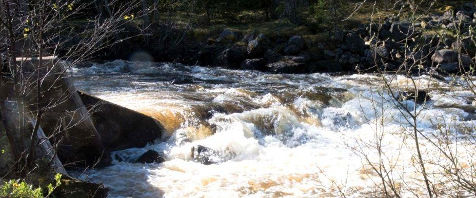 Borgärdesströmmen - Flugfiske - Image 3