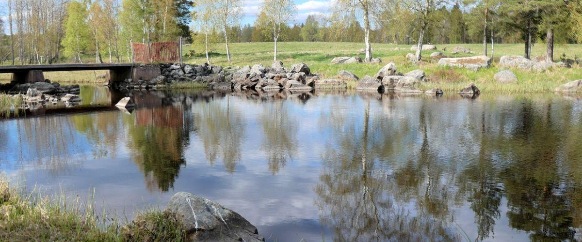 Aven och delar av Seckan - Image 3