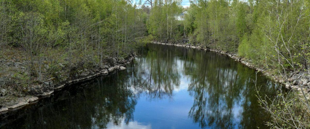 Aven och delar av Seckan - Image 2